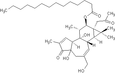 12-O--13-