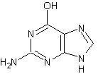 2--6-